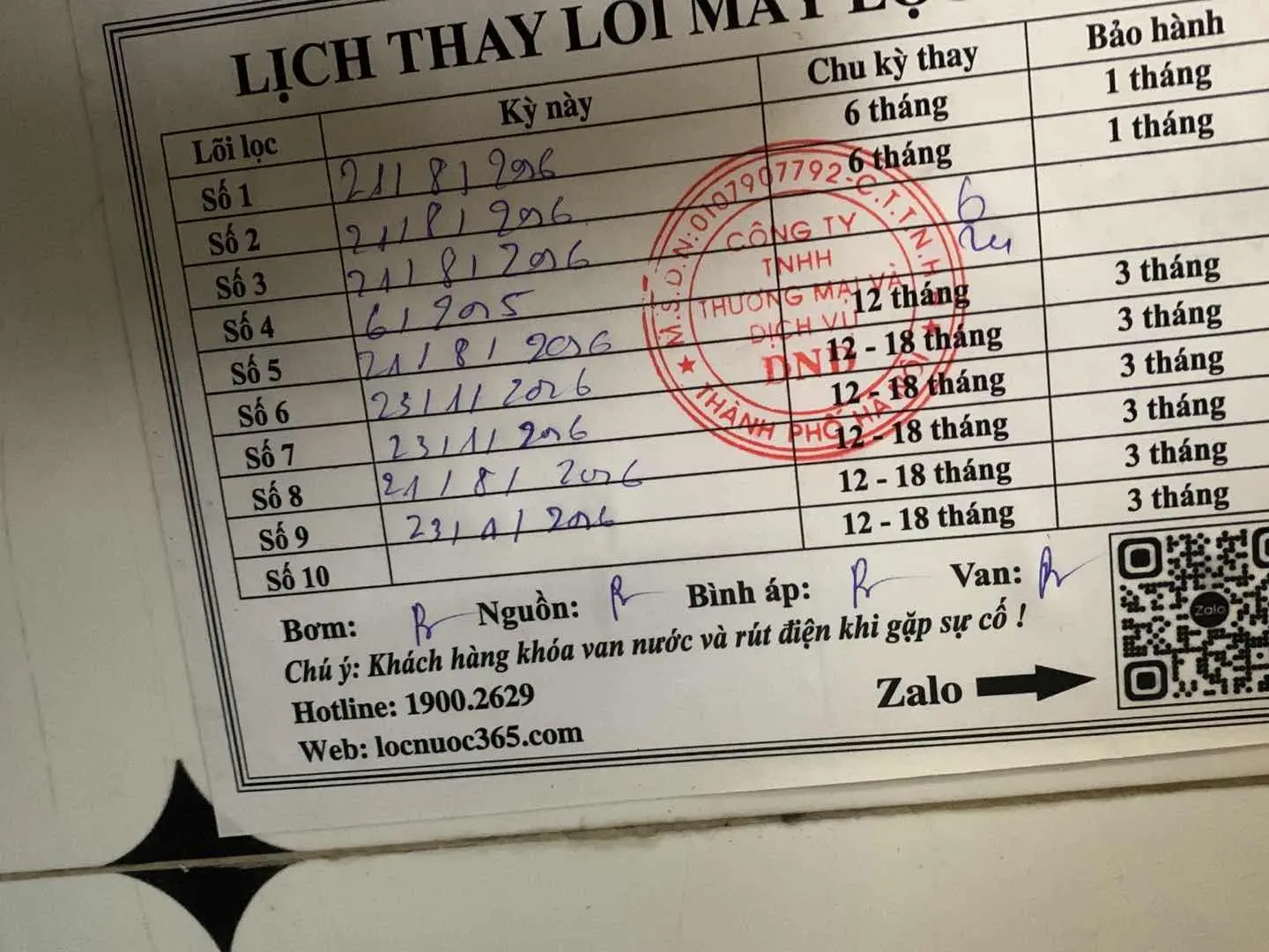 chị Hoa