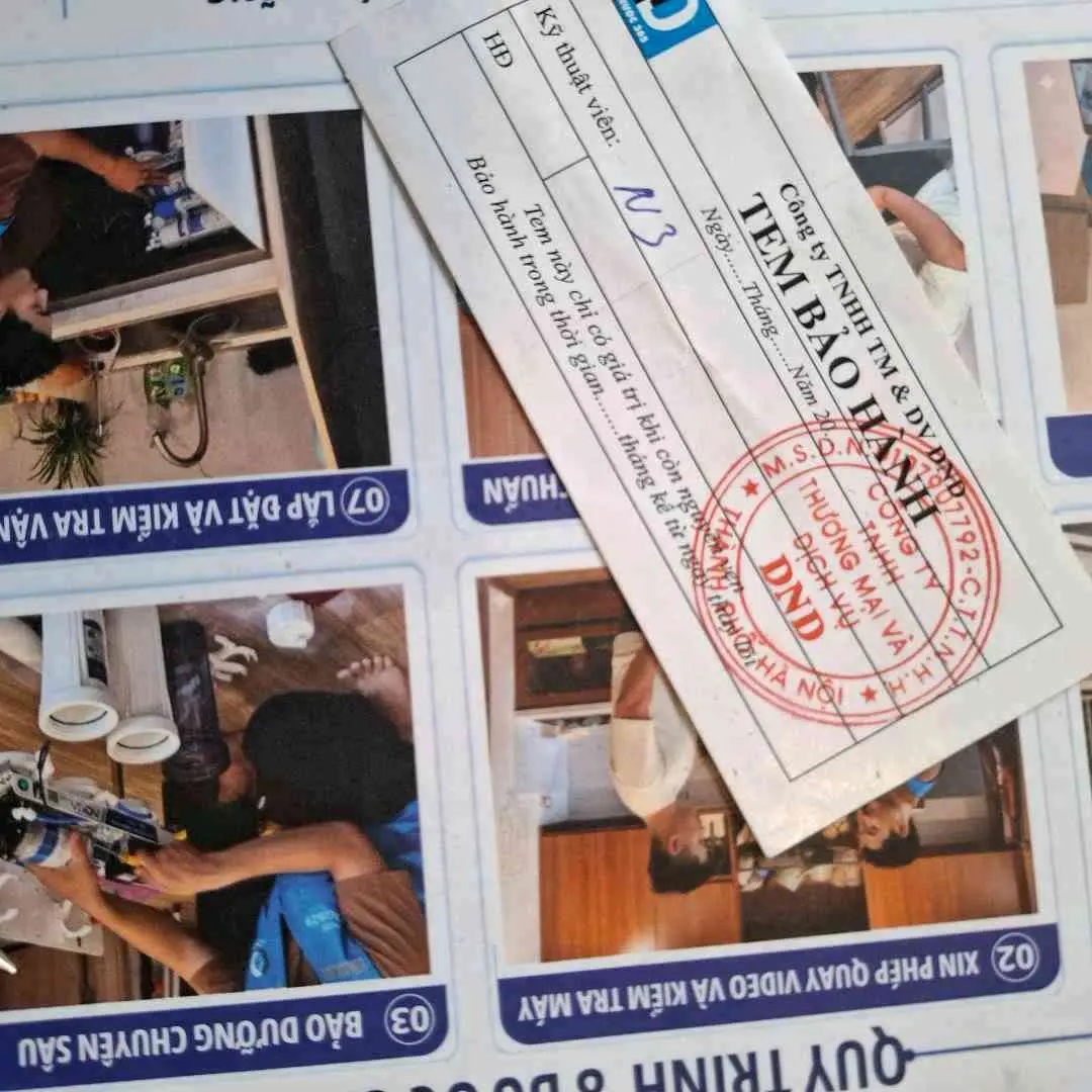 a Dương