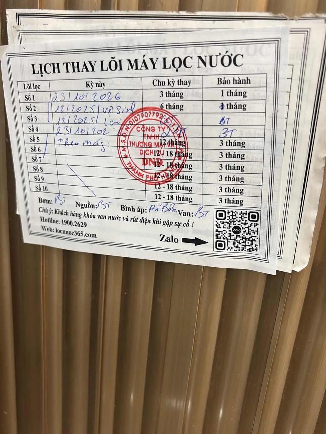 chị Nga
