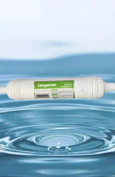 Lõi lọc thô đúc Kangaroo số 2