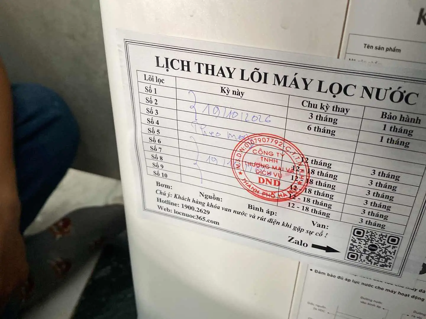 MỸ LINH