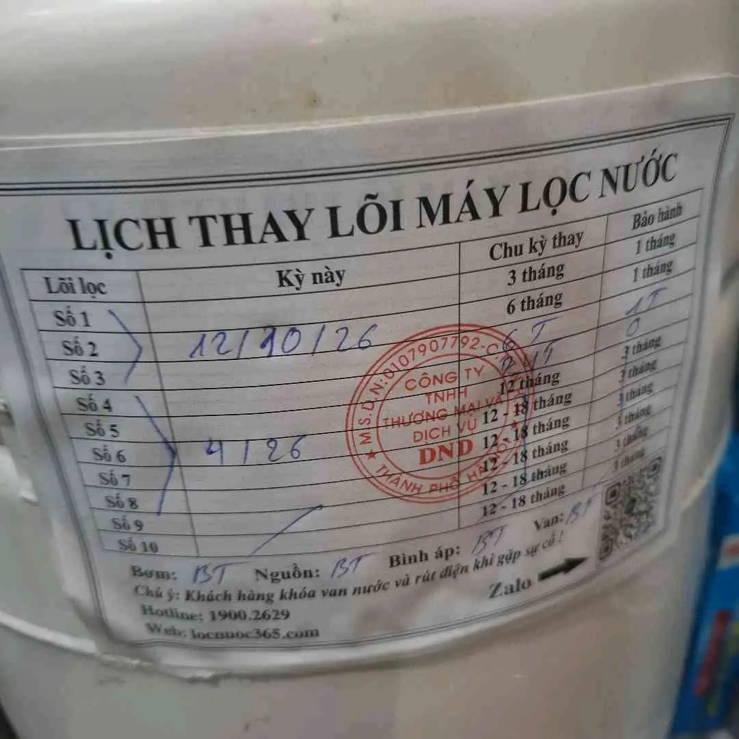 chị Trinh