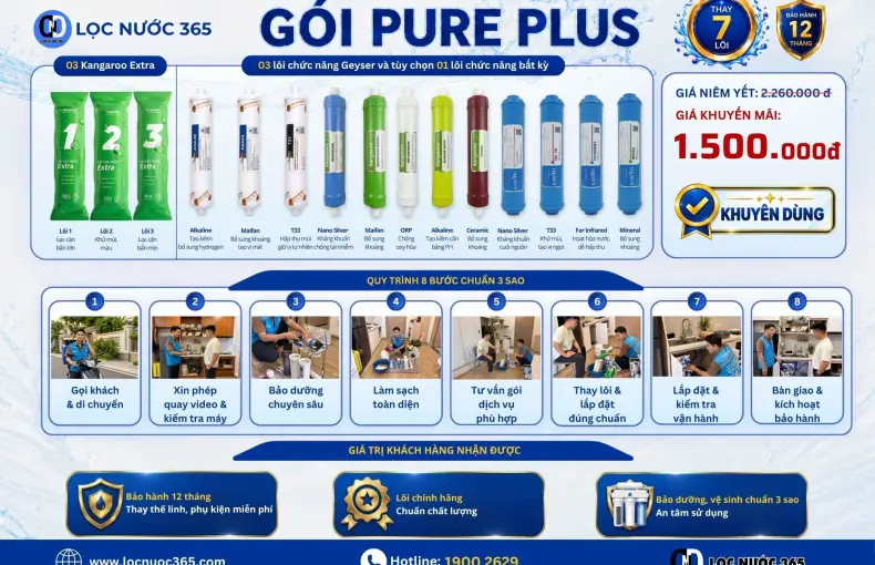 PURE PLUS