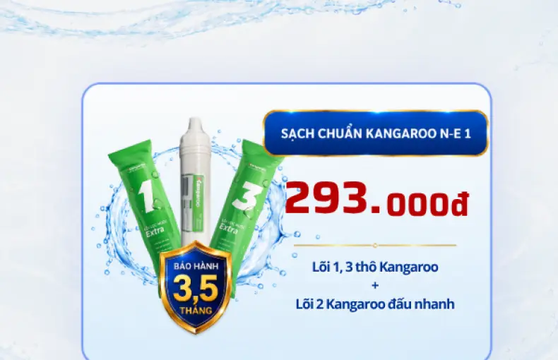 SẠCH CHUẨN KANGAROO N-E 1